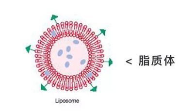专业定制脂质体纳米颗粒——精准递送，智能响应，助力科研突破