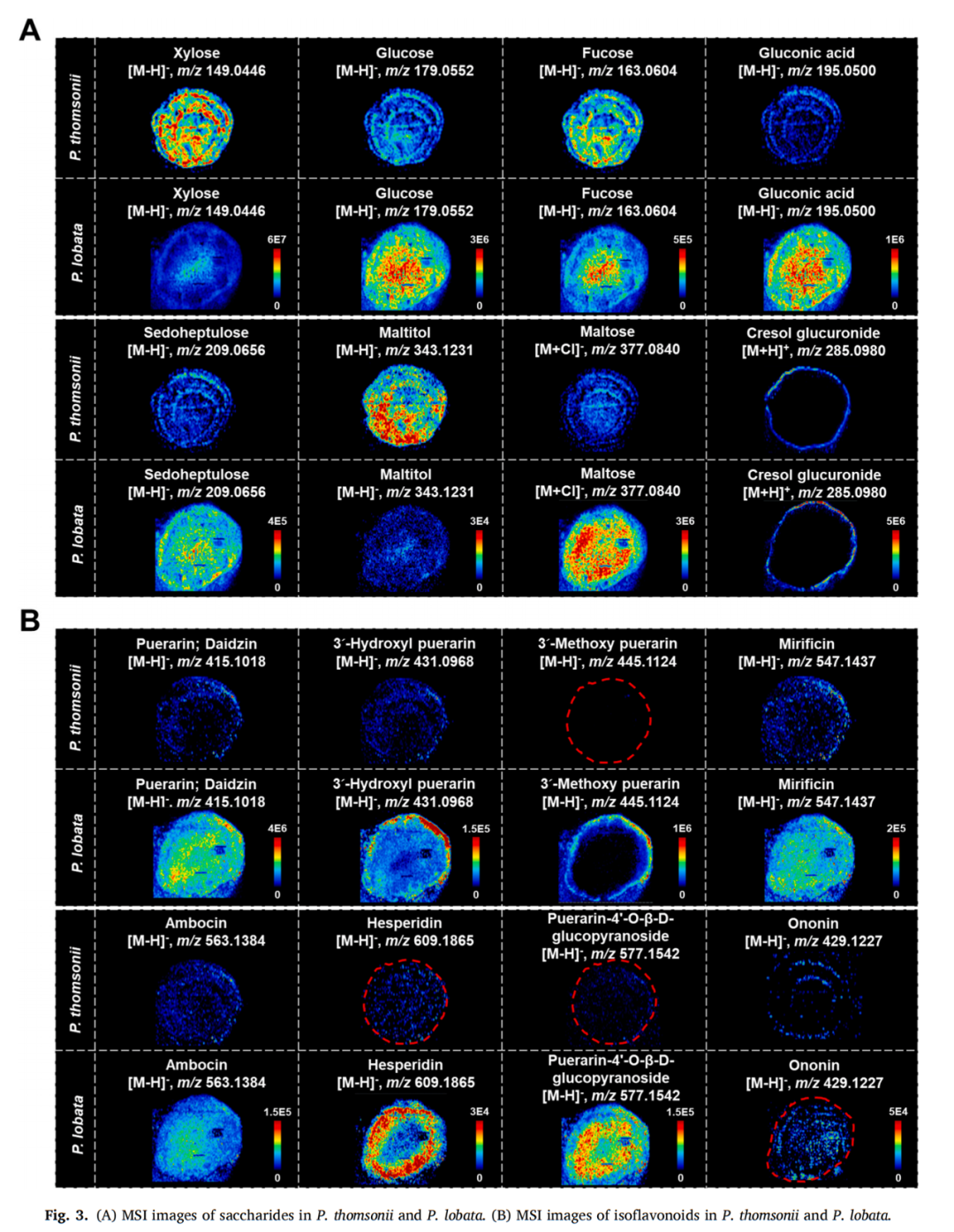 与典同行|质谱成像助力药物研究进入“空间组学”时代