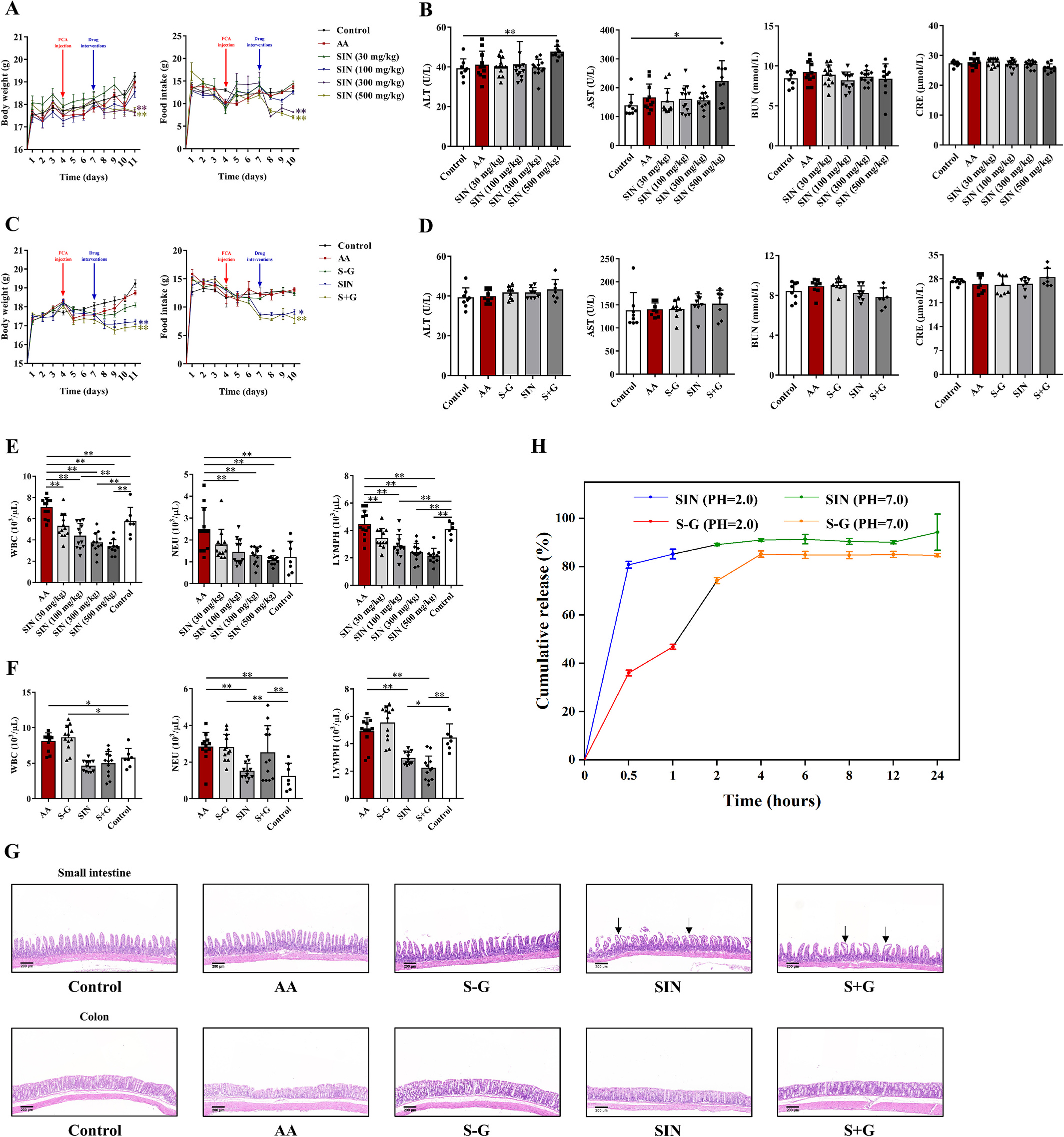 图3.S-G 水凝胶可预防 SIN 的副作用并提高其生物利用度