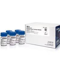 用于 T 细胞活化/扩增的 Dynabeads™ 小鼠T活化剂CD3/CD28