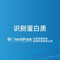 识别蛋白质