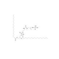  phosphoric acid-PEG-DSPE  DSPE-PEG-phosphoric