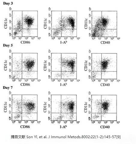小鼠骨髓来源树突状细胞(BMDC)培养的发展简史