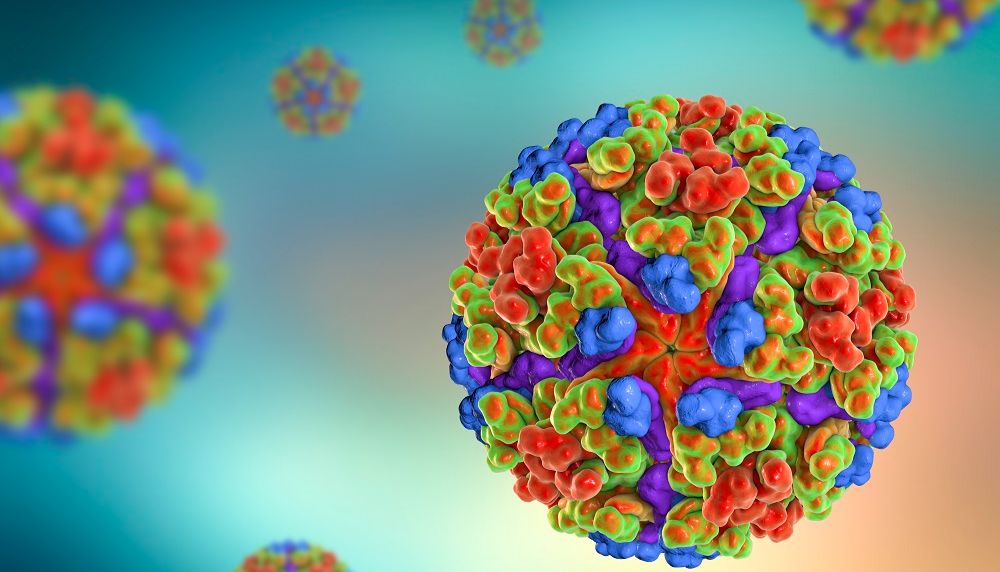 广东佛山通报境外输入基孔肯雅热Chikungunya virus (CHIKV)疫情