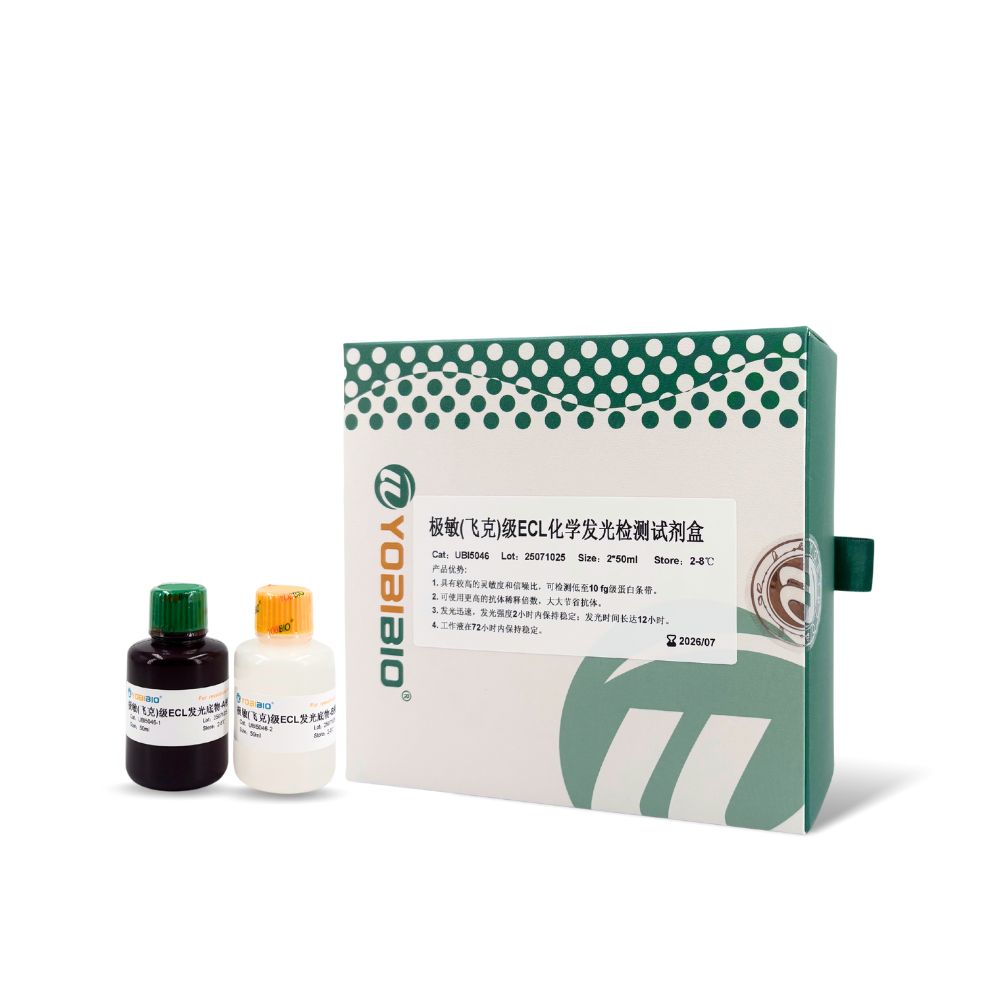 极敏(飞克级)ECL化学发光检测试剂盒