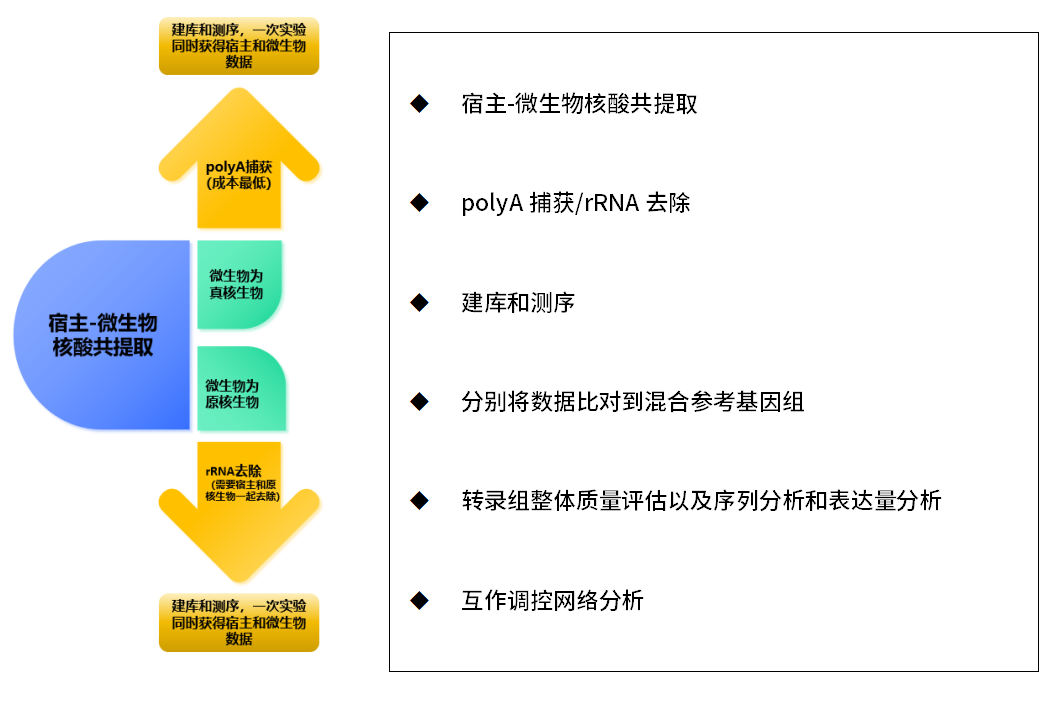 新闻图片2