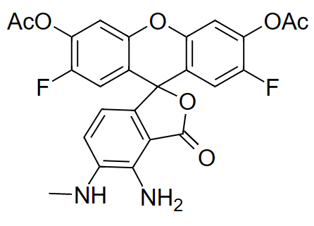 一氧化氮检测探针 DAF-FM DA