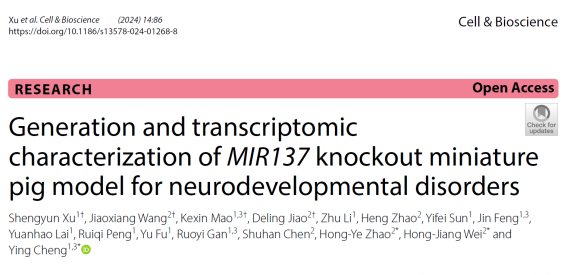 Cell and Bioscience丨云南大学程郢课题组建立并转录组分析人类神经发育障碍小型猪模型