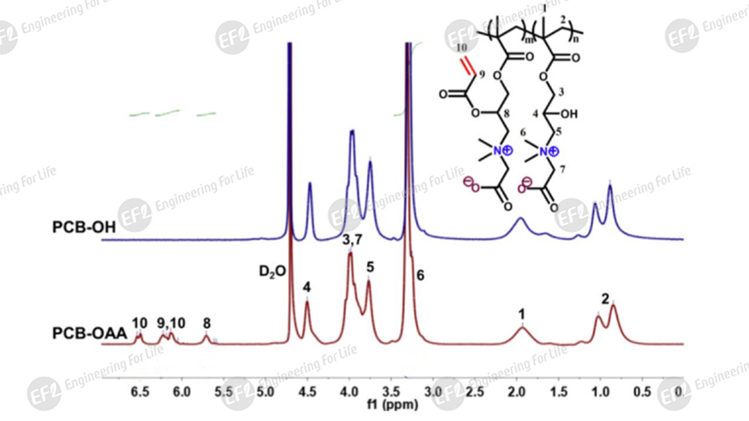 丙烯酰化羧基甜菜碱两性离子聚合物PCBOAA