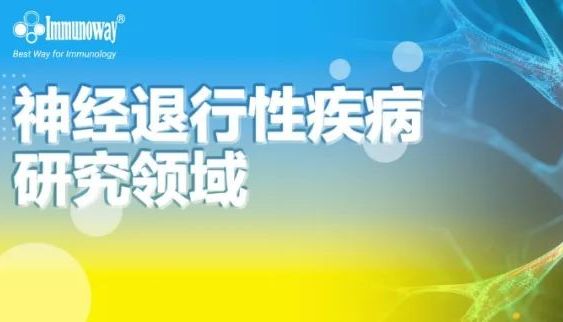 神经退行性疾病研究领域
