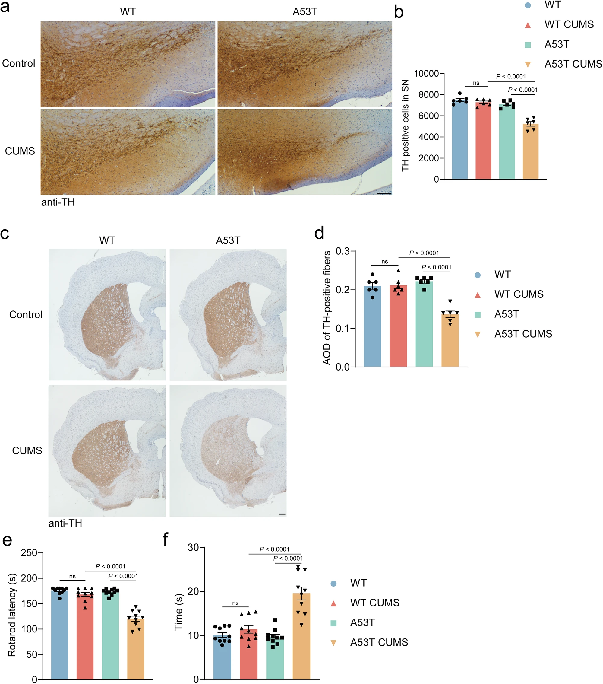 20250718MED64平面微电极矩阵记录系统文章分享