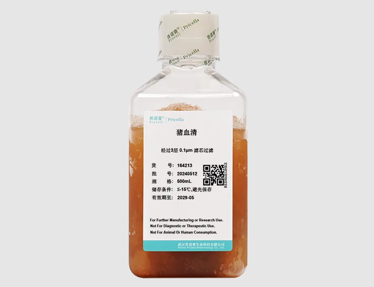 猪血清全指南：从成分解析到科学使用规范