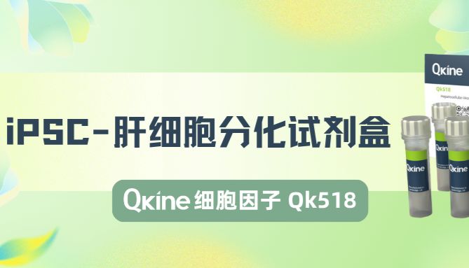 Qkine iPSC-肝细胞分化试剂盒细胞因子