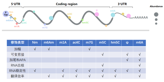 RNA修饰新方法：是时候尝试Direct RNA Sequencing了