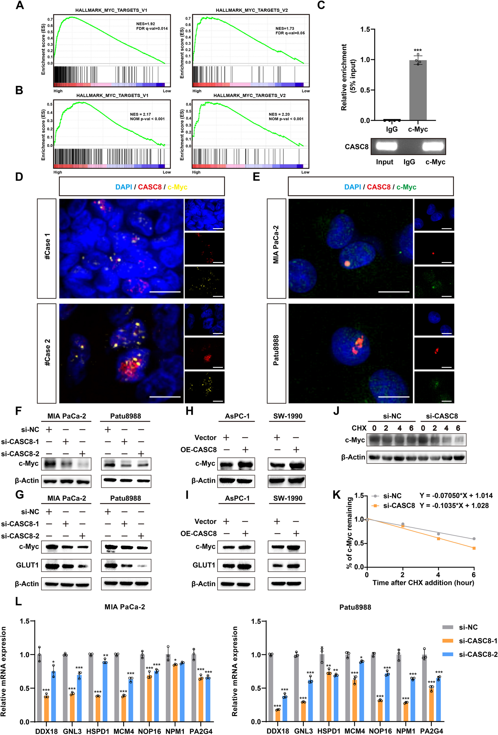 IF：12.8，高分捷径！单细胞×双硫死亡双热点碰撞，预后分析+多实验支撑，顶刊级发文模板！