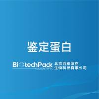 鉴定蛋白-百泰派克生物科技