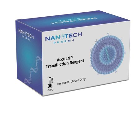 AccuLNP细胞转染试剂