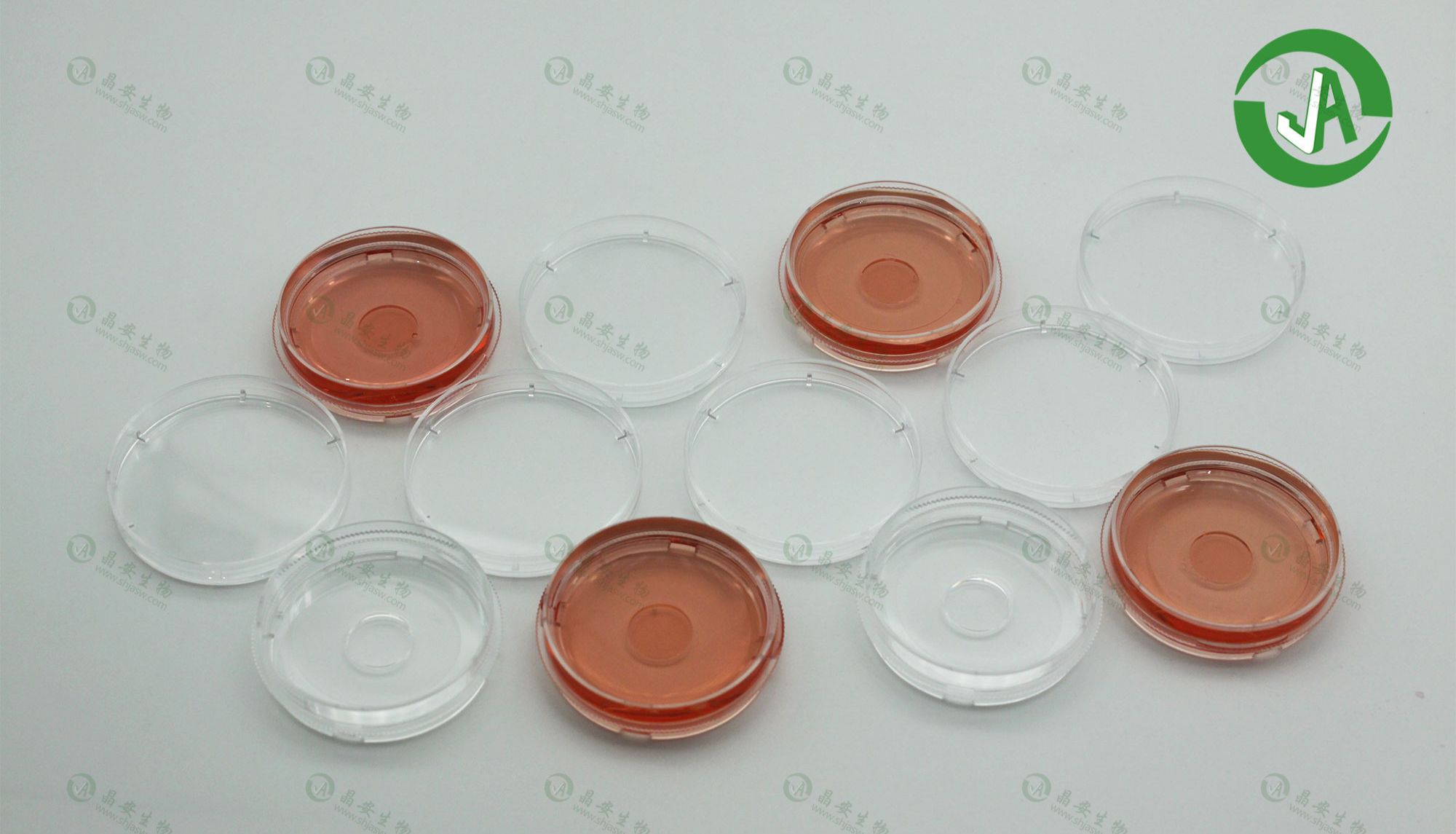 上海晶安生物35mm激光共聚焦玻底培养皿20mm共聚焦玻璃底小皿