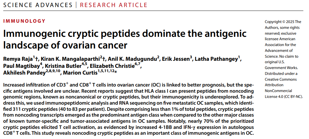 文献解析丨免疫肽组学驱动卵巢癌隐秘抗原肽的发现