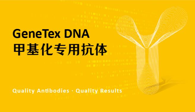 GeneTex DNA 甲基化专用抗体