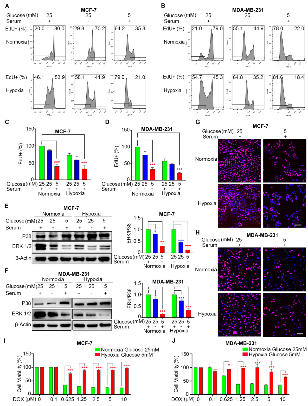 IF=21.7丨癌细胞休眠≠安全!只是“装睡的恶魔”罢了，看C210如何给予其致命一击