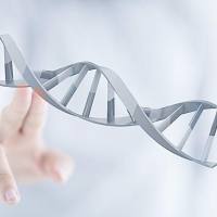 条件性基因敲除