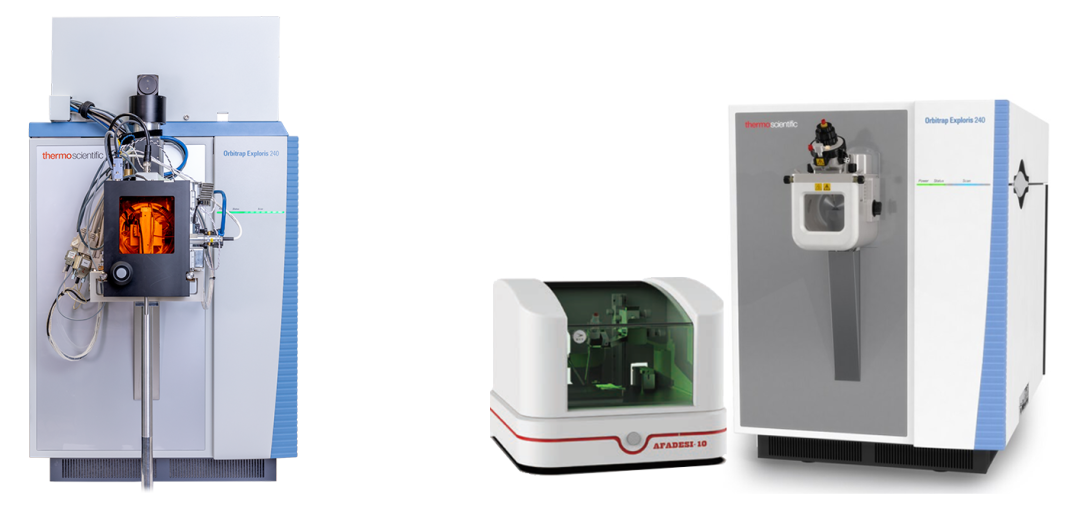 与典同行|质谱成像助力药物研究进入“空间组学”时代