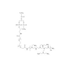  PEI-PEG-DSPE  DSPE-PEG-PEI  Polyethyleneimine