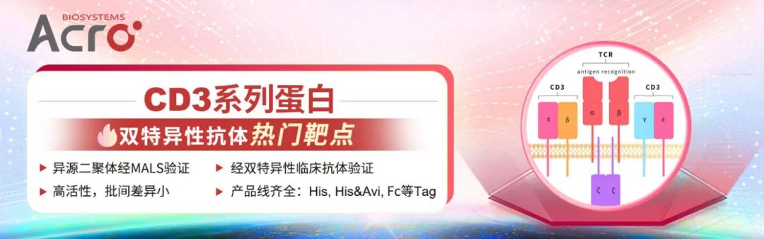 CD3蛋白：高生物活性经抗体结合验证，赋能TCE药物开发