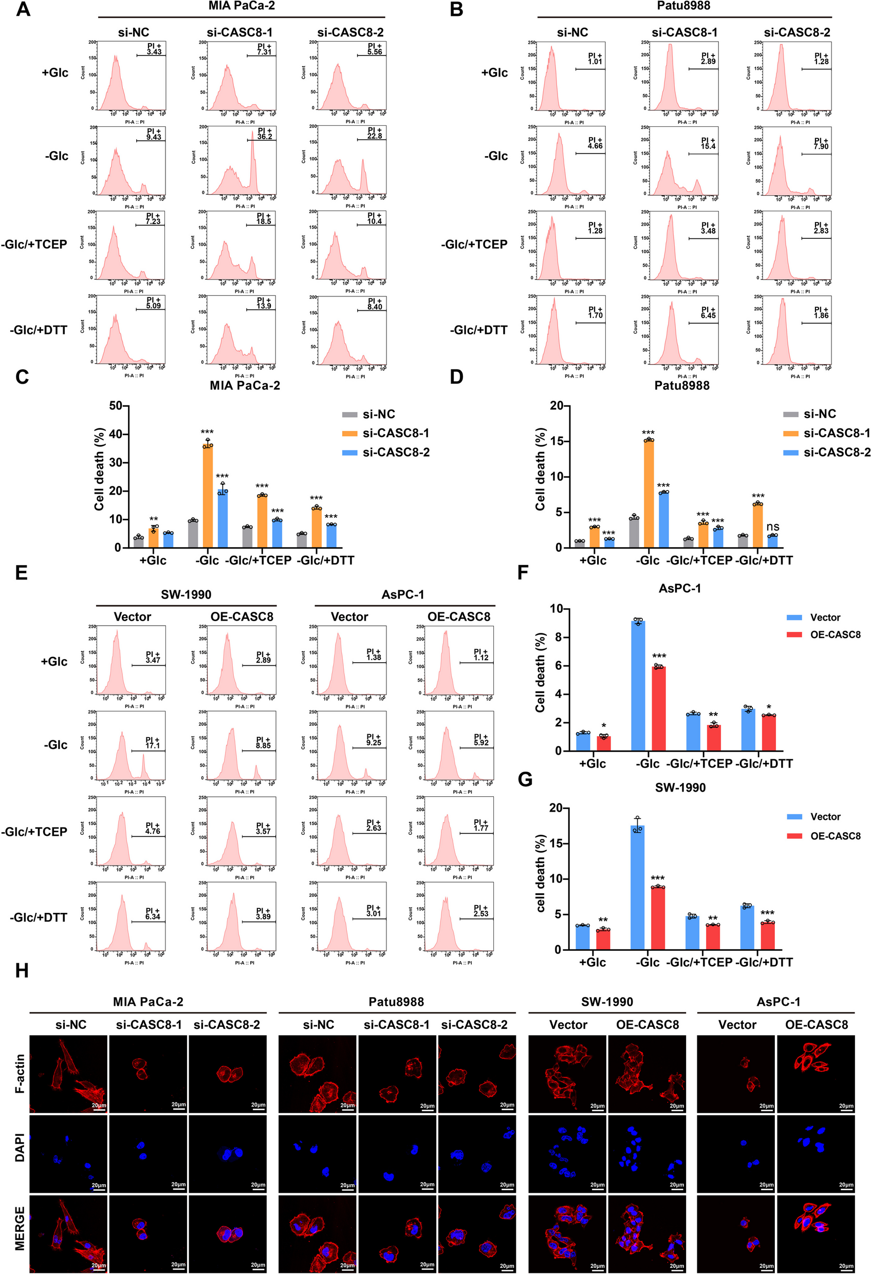IF:12.8,高分捷径!单细胞×双硫死亡双热点碰撞,预后分析+多实验支撑,顶刊级发文模板!