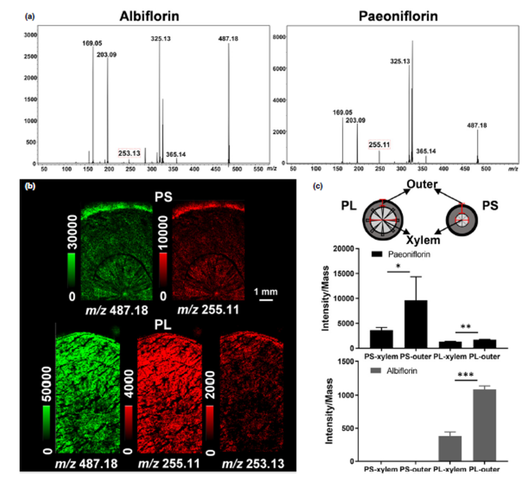 与典同行|质谱成像助力药物研究进入“空间组学”时代