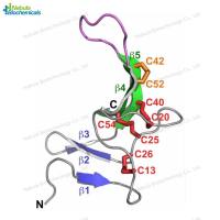 VLP蛋白表达服务