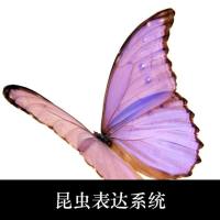 昆虫细胞蛋白表达服务