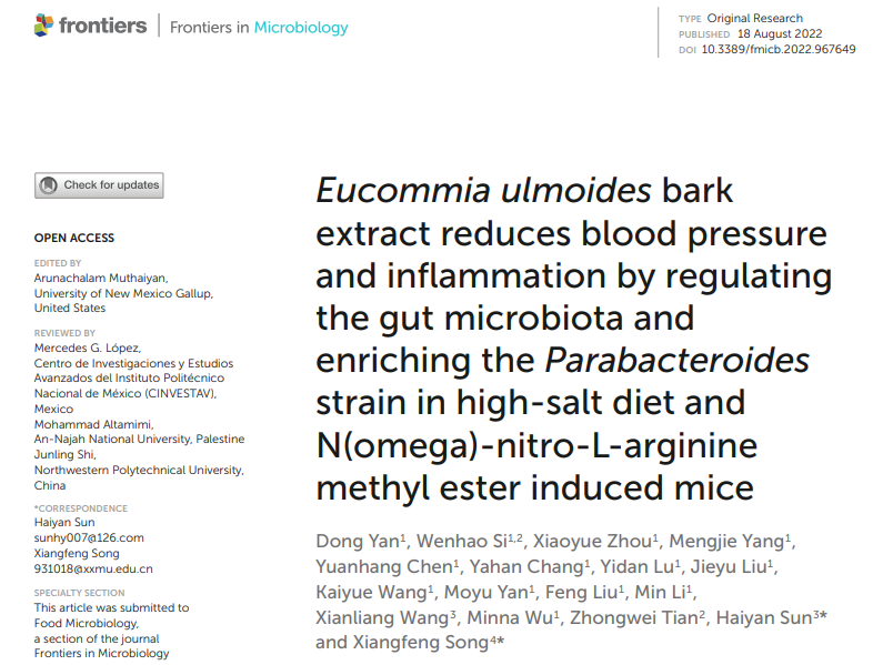 大鼠无创血压仪