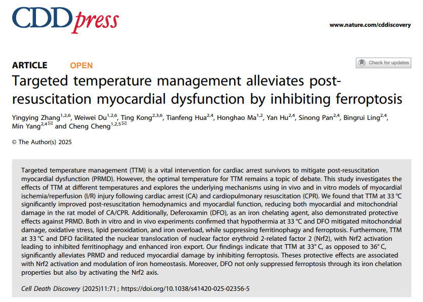 KW-100-2型多通道小动物人工呼吸机