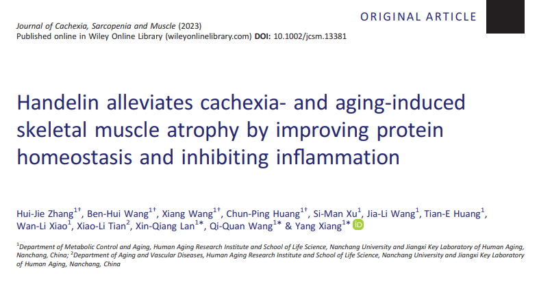 转棒疲劳仪   转棒式疲劳仪  疲劳仪