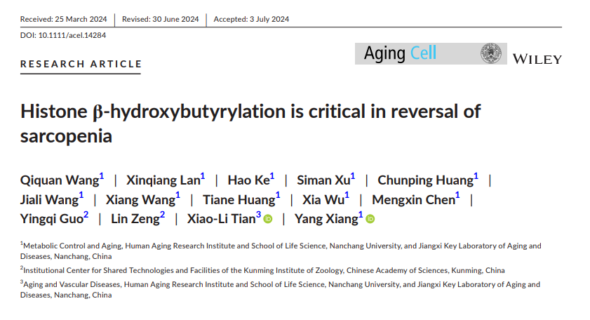 转棒疲劳仪   转棒式疲劳仪  疲劳仪