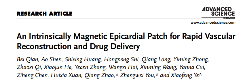 KW-100型小动物人工呼吸机