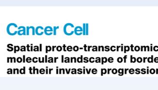 Cancer cell I 空间多组学绘制卵巢交界性肿瘤恶性转化图谱