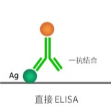 直接ELISA实验主要步骤及其灵敏度提高方法