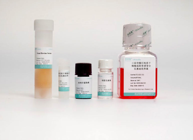 大鼠骨髓间充质干细胞成软骨诱导分化培养基：科研利器，精准赋能软骨再生研究