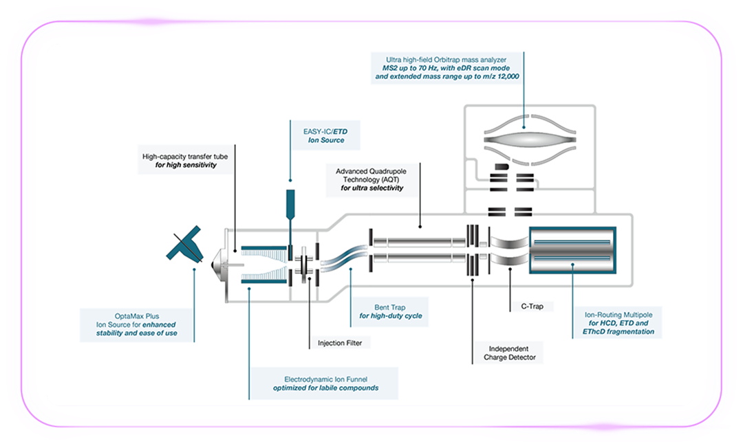 「质」敬未来：第三代赛默飞二合一超高分辨质谱仪闪耀巴尔的摩 | 报名倒计时，5大新品等你锁定席位！