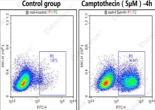Caspase 3/7 活细胞流式检测底物