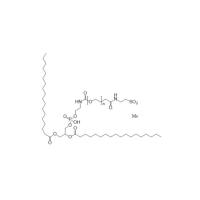 Sulfonated Alkyl Sulfate-PEG-DSPE    SAS-PEG-DSPE