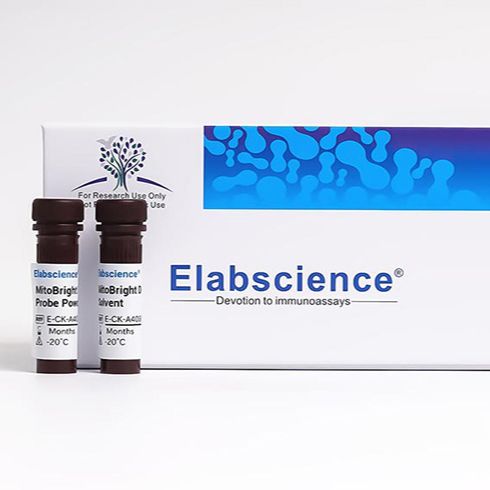线粒体红色荧光探针检测试剂盒