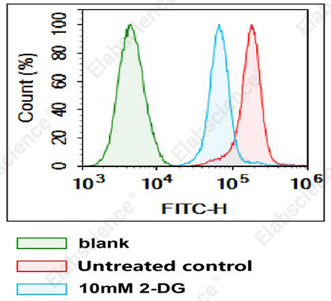 2-NBDG葡萄糖摄取检测试剂盒