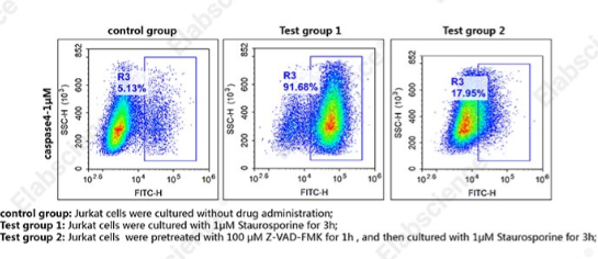 Caspase 4 活细胞流式检测底物