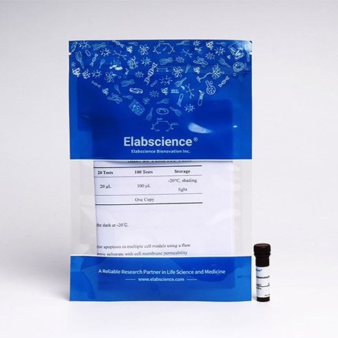 Caspase 1 活细胞流式检测底物