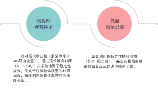 鹅肝微粒体 2.png