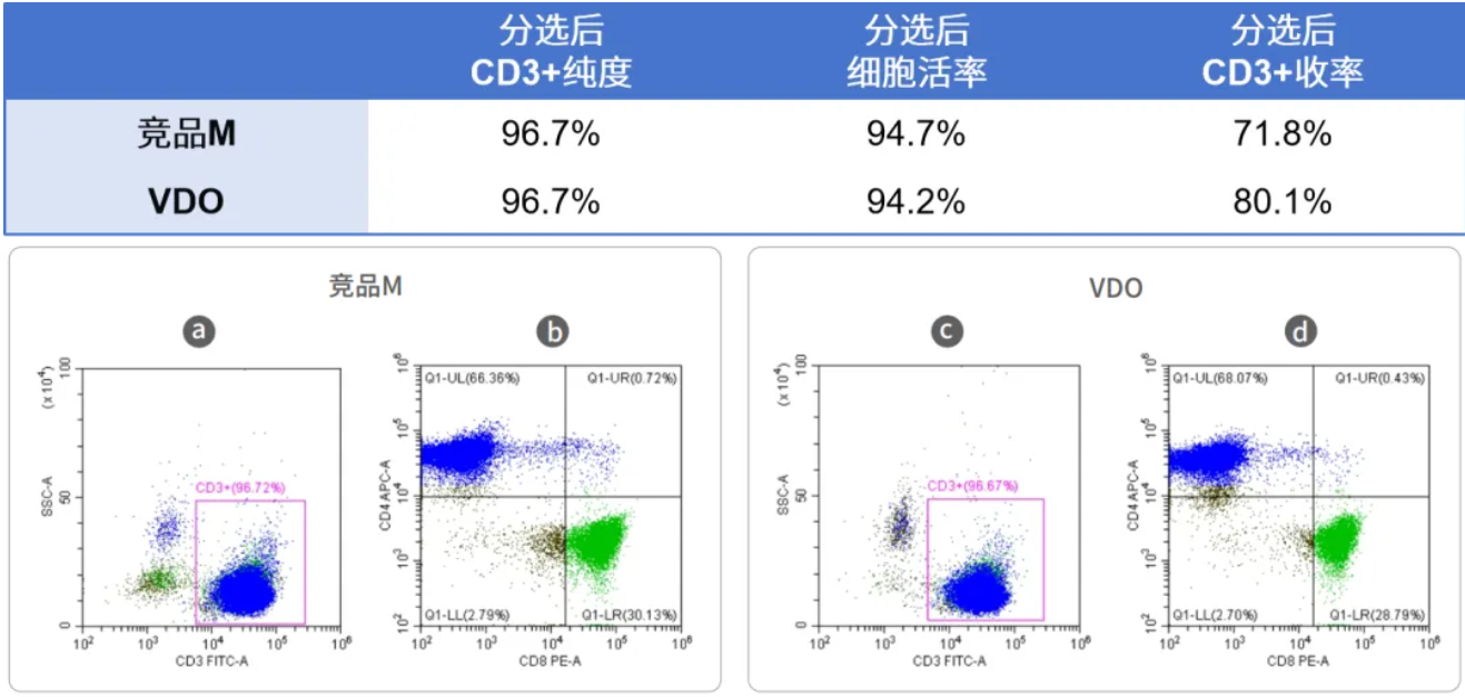 CD4/CD8—T细胞表面的关键标志物